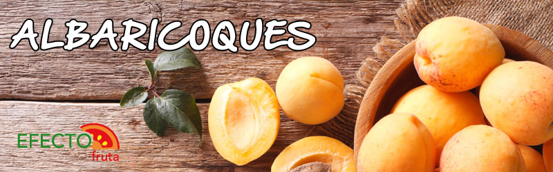 ALBARICOQUES