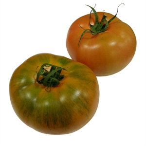 Imagen de Tomate Rambo Extra